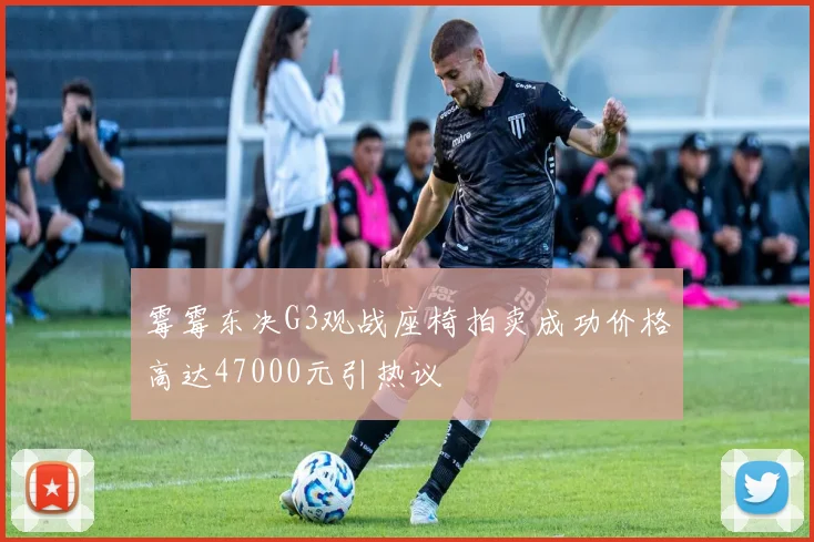 霉霉东决G3观战座椅拍卖成功价格高达47000元引热议